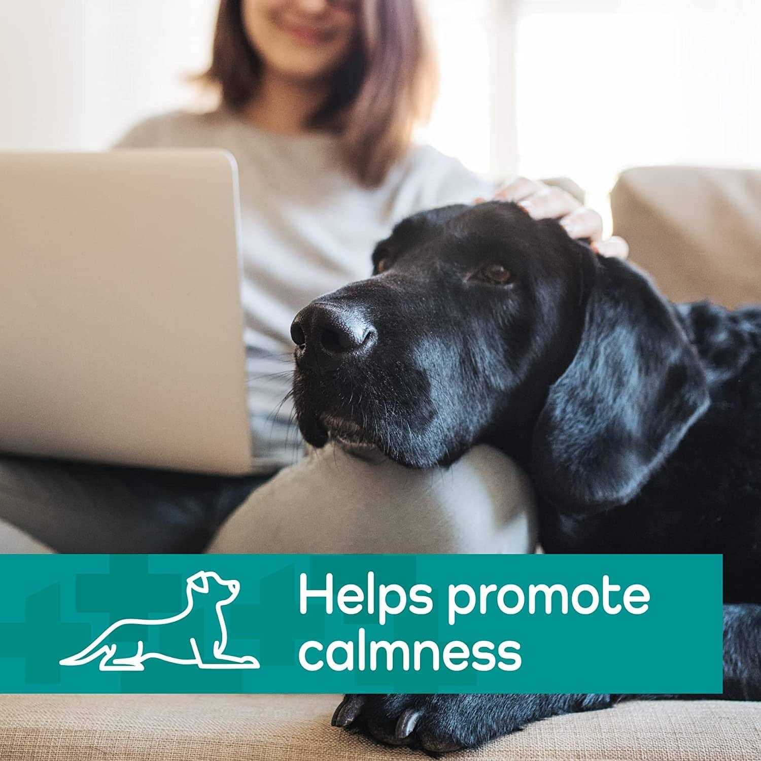 Vetality Hemp Helpers Collar for Dogs - Pet Supplies online store