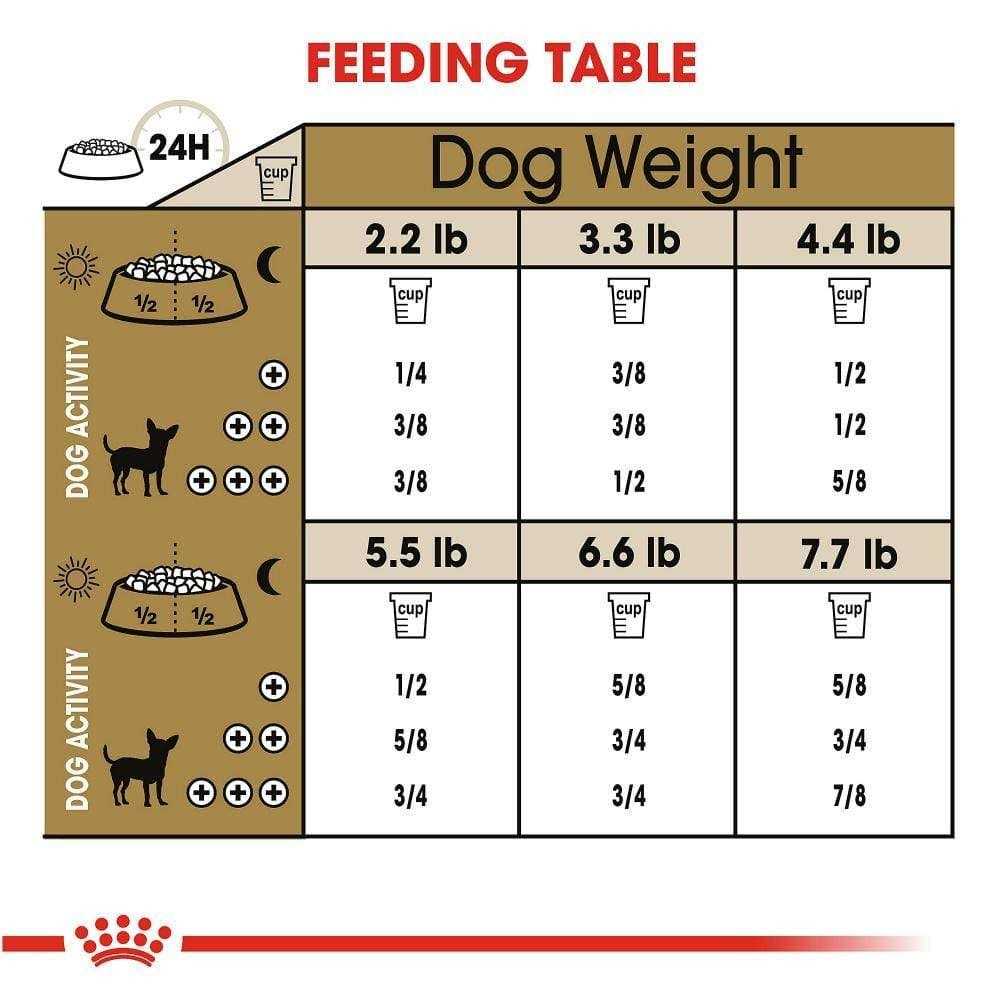 Royal Canin Chihuahua Adult Dry Dog Food 8 Plus Years - Pet Supplies online store