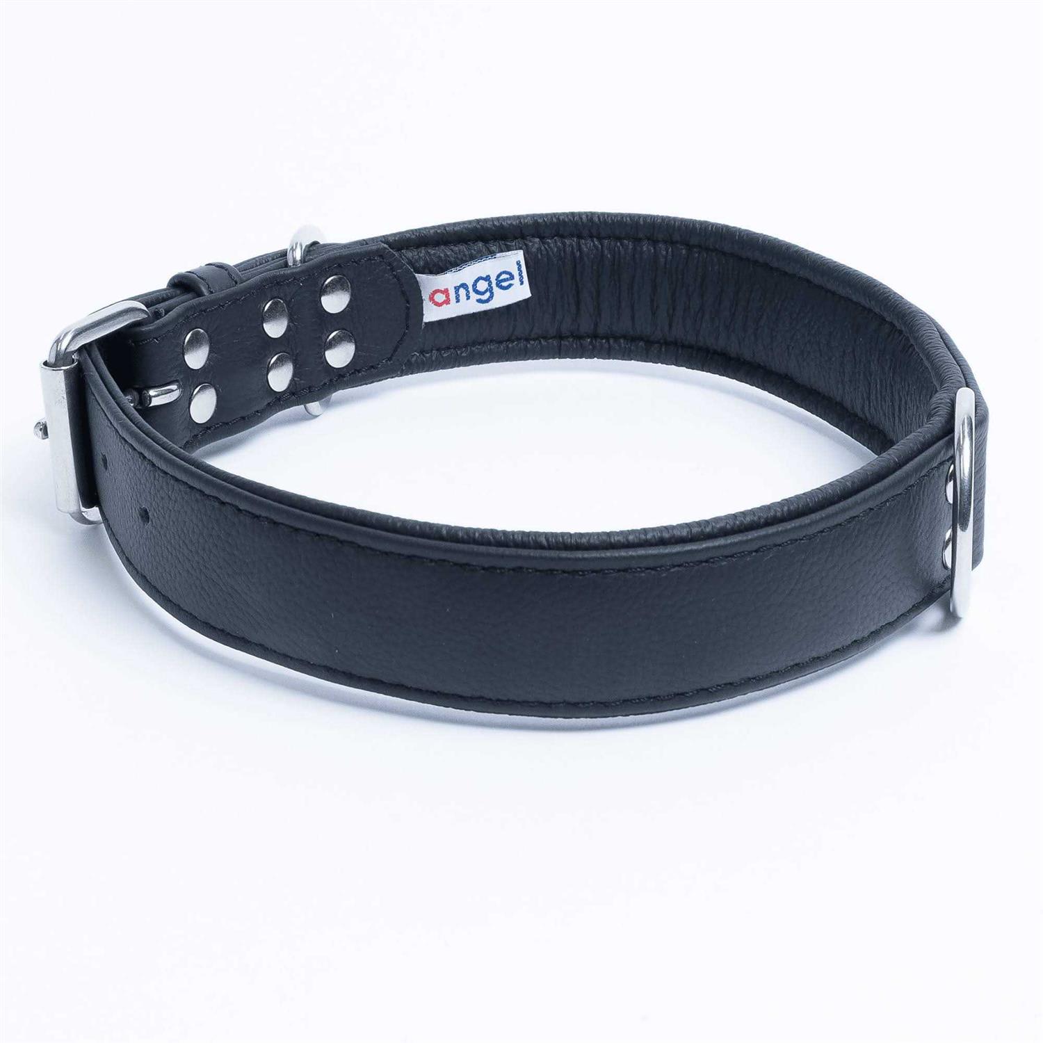 Alpine Dog Collar - Pet Supplies online store