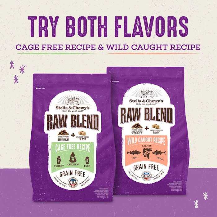 Stella Chewy's Raw Blend Cage-Free Recipe Dry Cat Food - Pet Supplies online store