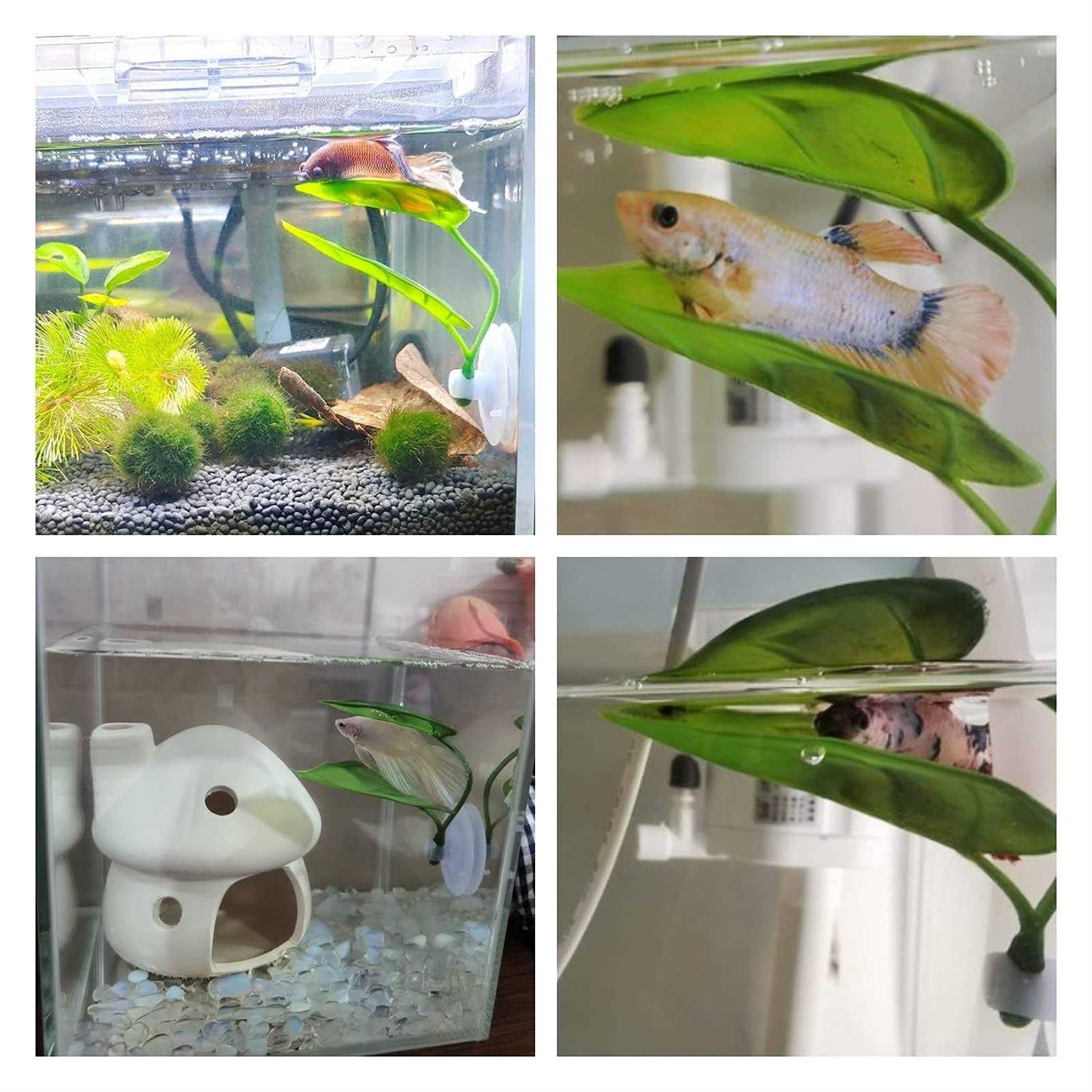 Betta Fish Leaf Pad Simulating The Natural Habitat for Betta Spawning Grounds Breeding Resting Bed Plastic Suction Cup - Pet Supplies online store