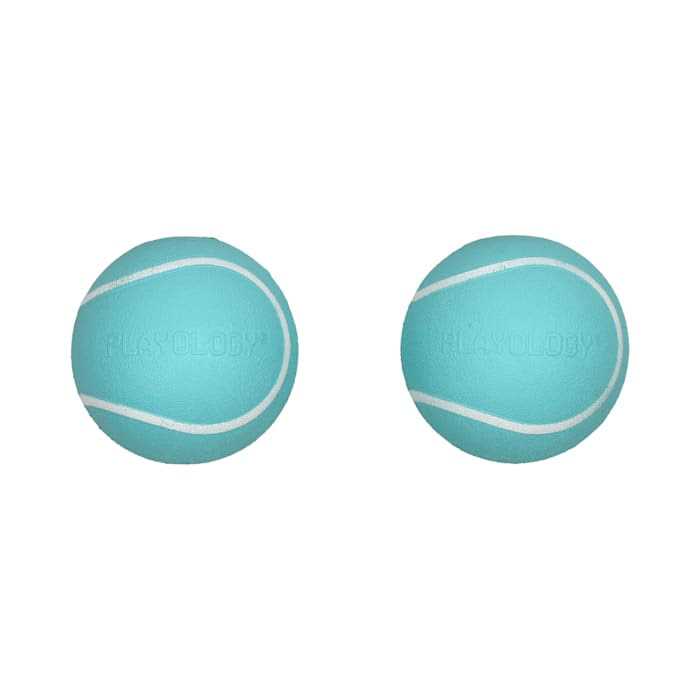 Playology Squeaky Chew Ball Dog Toy - Pet Supplies online store