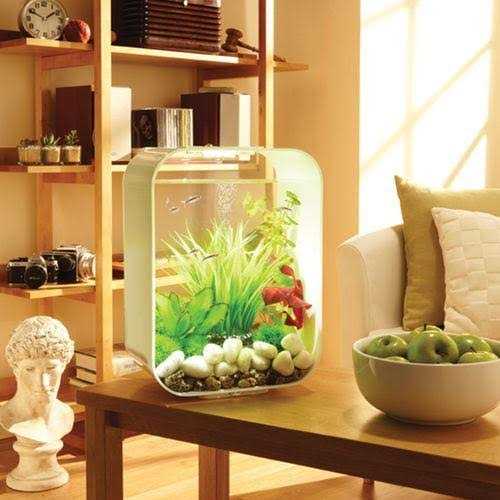 biOrb LIFE 15 Aquarium with Standard Light - Pet Supplies online store