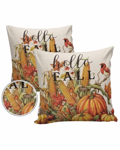 Outdoor Pillow Covers Waterproof, Hello Fall Throw Pillowcase Decorative Cover, Autumn Harvest Corn Pumpkin Wooden Garden Cushion Case Set of 2 for Sofa, Couch, Tent, Patio, 16