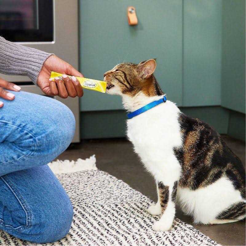 Temptations Creamy Puree Lickable Cat Treats - Pet Supplies online store