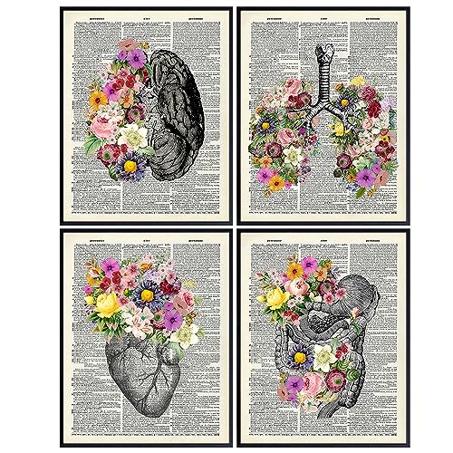 Organs & Flowers Dictionary Wall Art Decor Set - 8x10 Vintage Upcycled Unframed Prints for Home or Doctor Office - Unique Steampunk Goth Room Decor - Gift for Doctor, Nurse, PA, Med Student