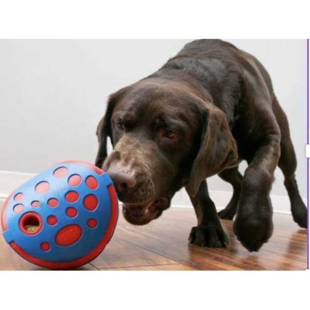 JW Pet Hol-ee Giggler Dog Toy - Pet Supplies online store