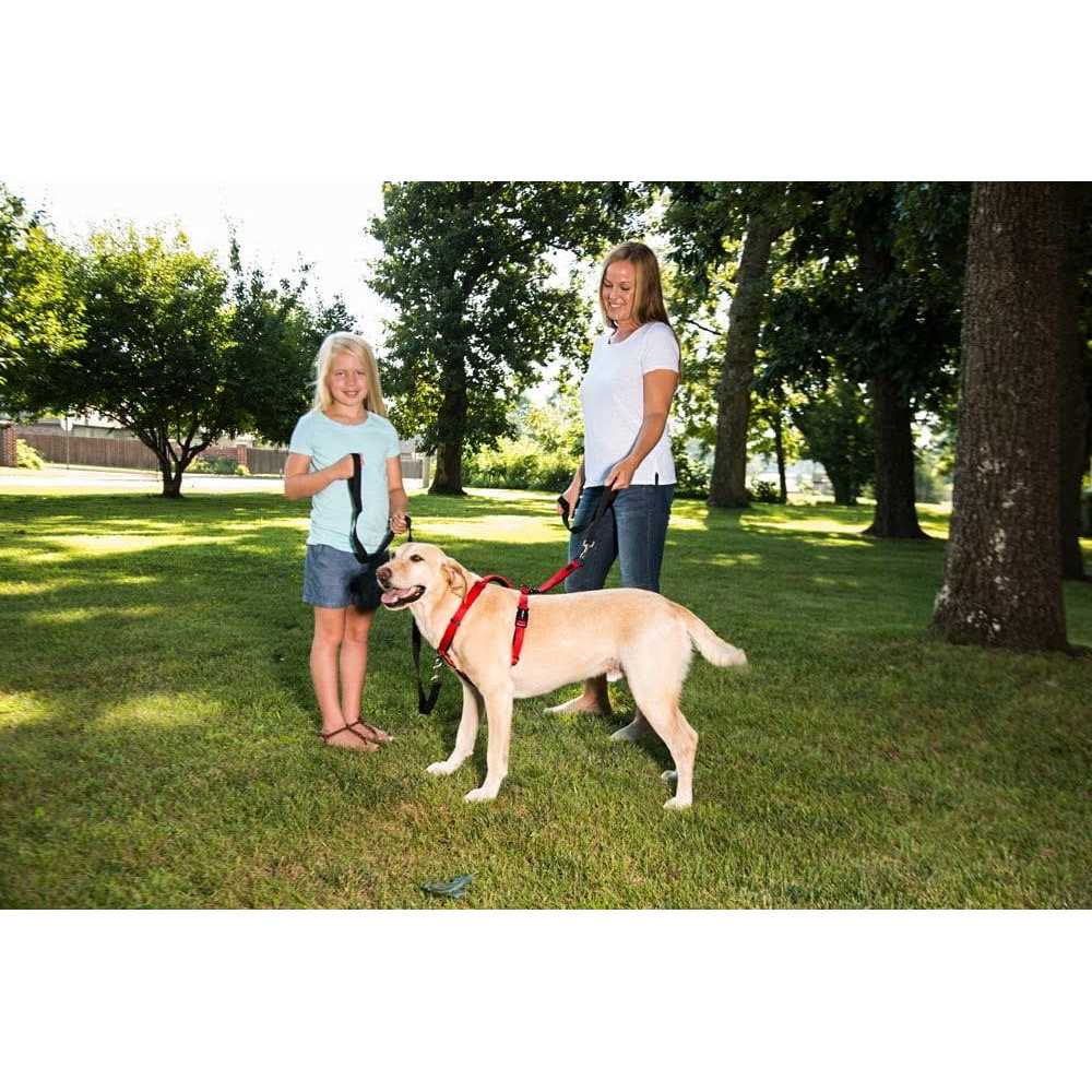 Sporn Ultimate Control Harness - Pet Supplies online store