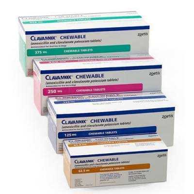 Clavamox Chewable - Pet Supplies online store