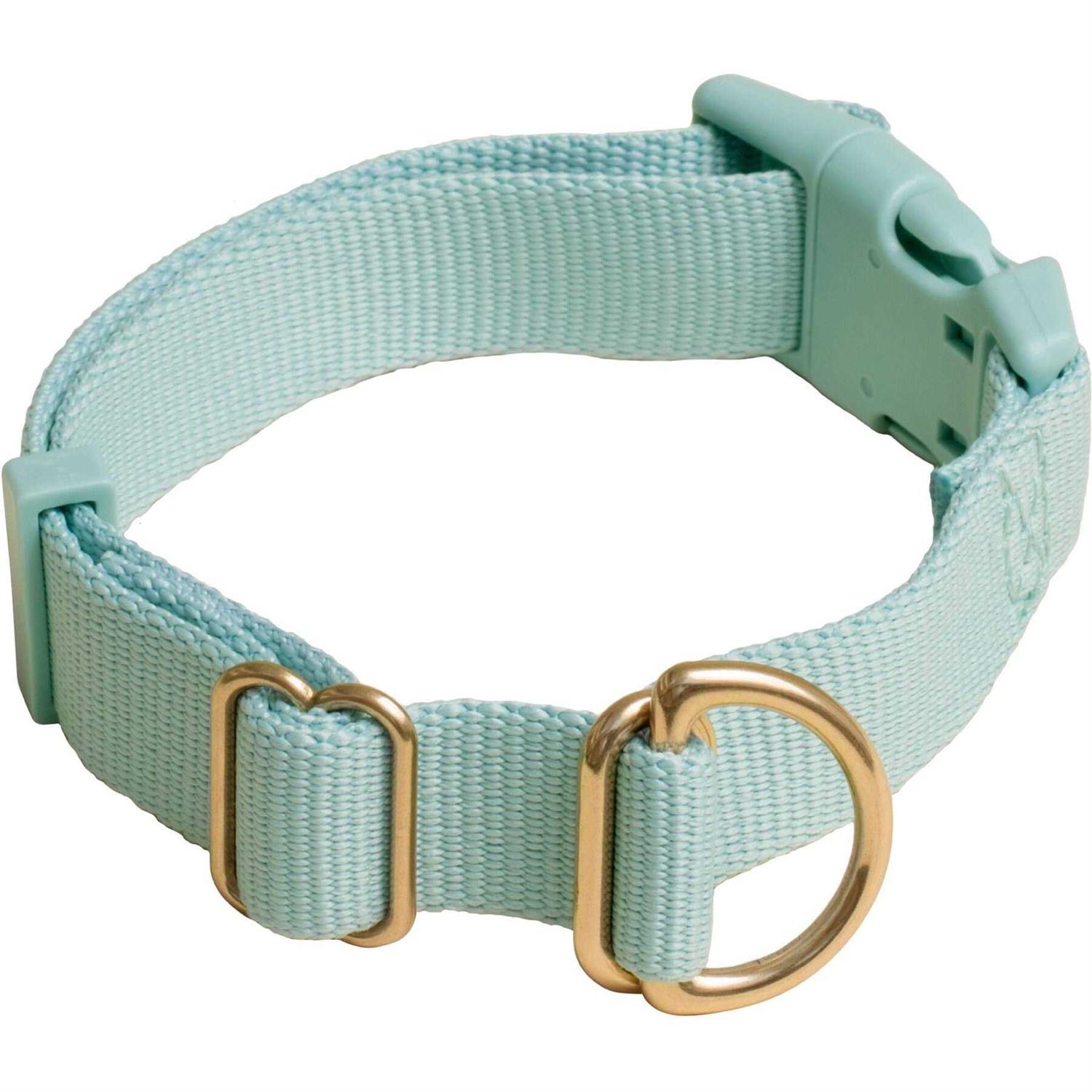 Awoo Pack Standard Dog Collar - Pet Supplies online store