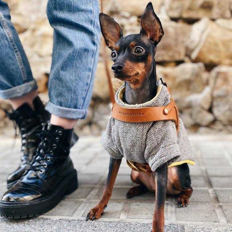 Butter Leather Dog Harness Molly And Stitch US - Pet Supplies online store