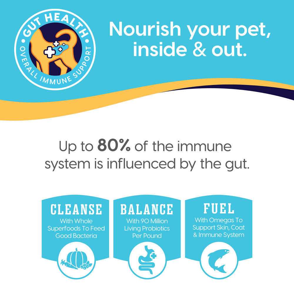 Solid Gold Nutrientboost Fit & Fabulous Chicken Dry Dog Food - Pet Supplies online store