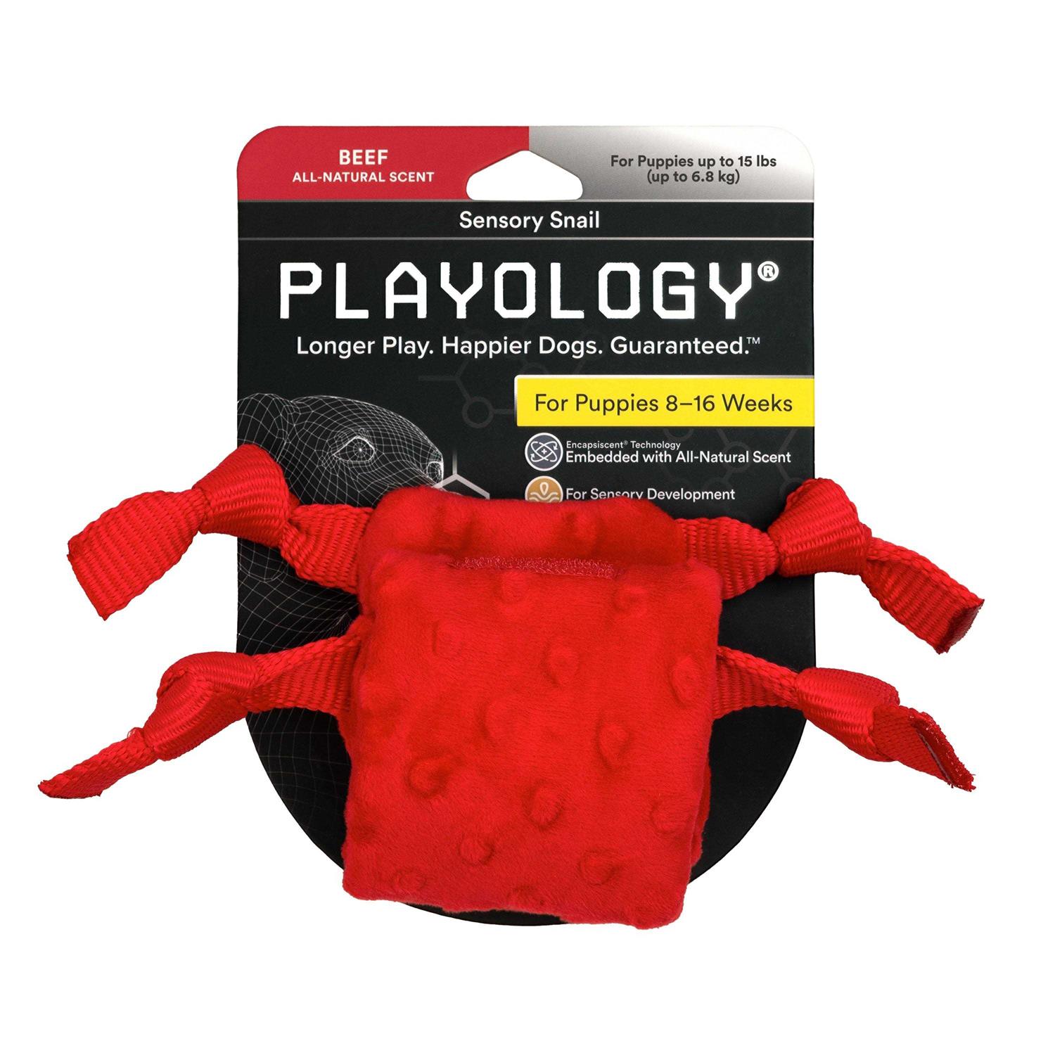 Playology Puppy Sensory Snail Dog Toy - Pet Supplies online store