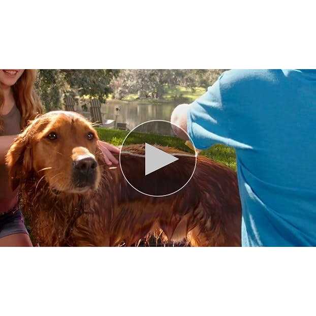 Burt's Bees Oatmeal Conditioner for Dogs with Colloidal Oat Flour & Honey - Pet Supplies online store