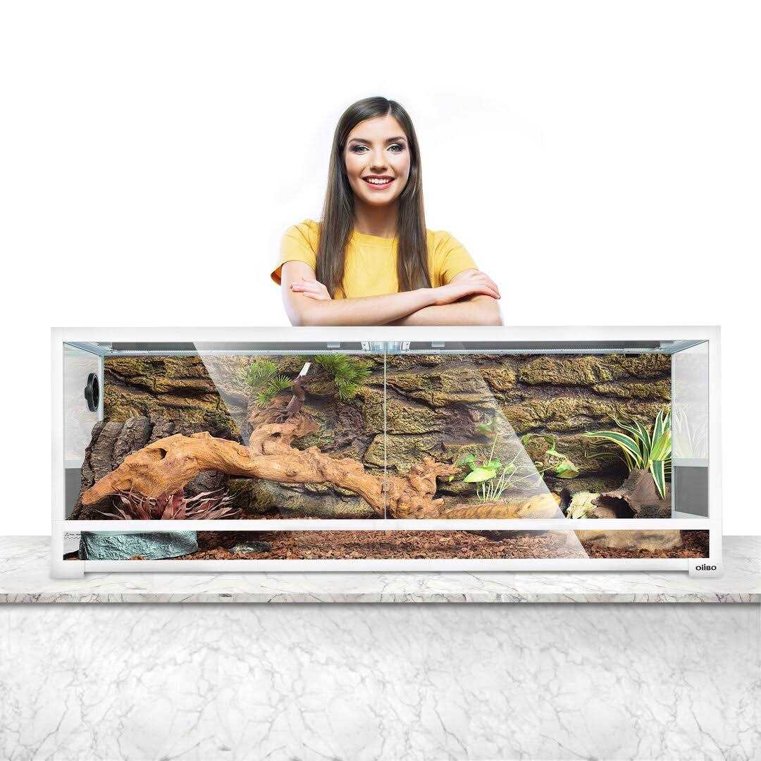 64 Gallon Terrarium OiiBO - Pet Supplies online store
