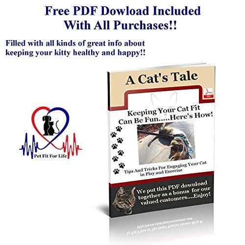 Pet Fit For Life Cat Wand Toy 5-Piece Worm Teaser & Exerciser - Pet Supplies online store