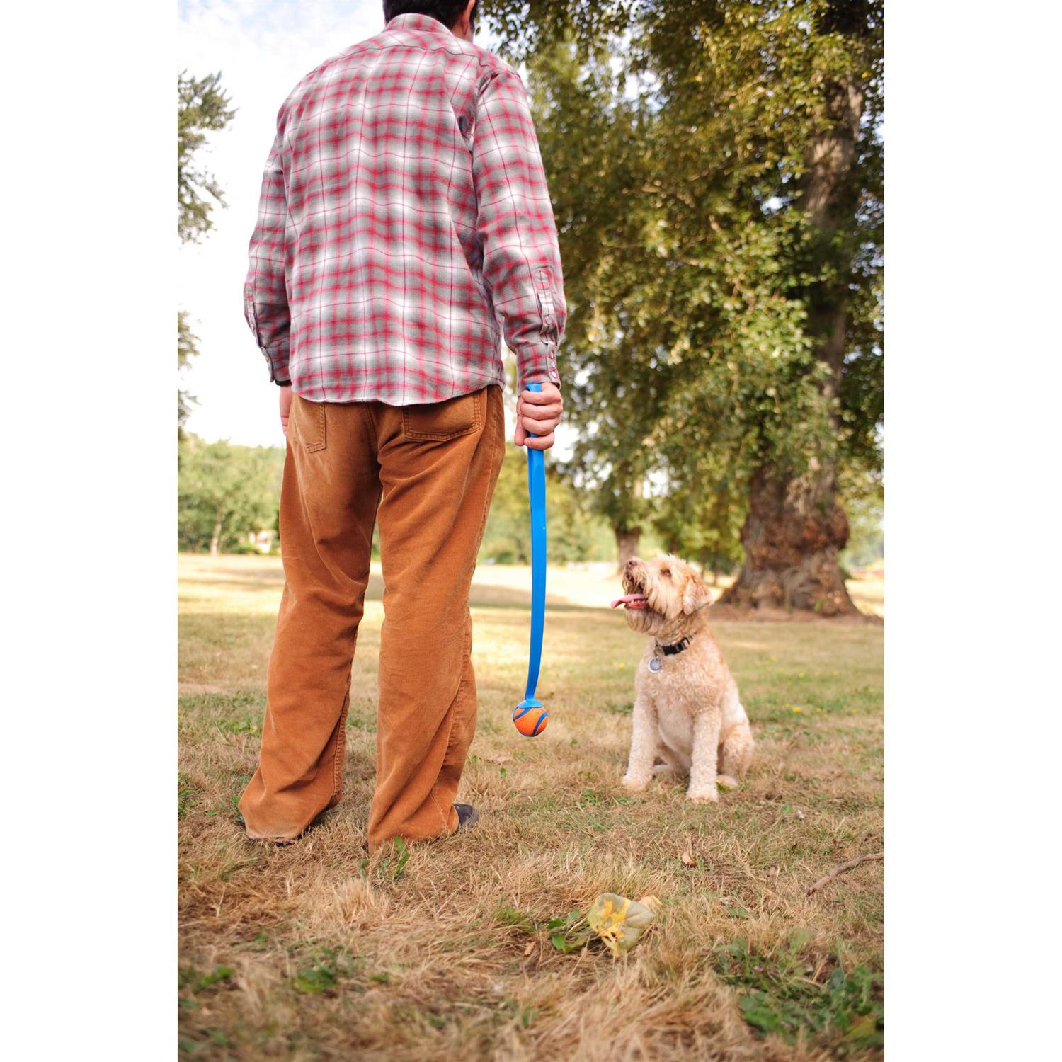 Chuckit! Ultra Ball - Pet Supplies online store