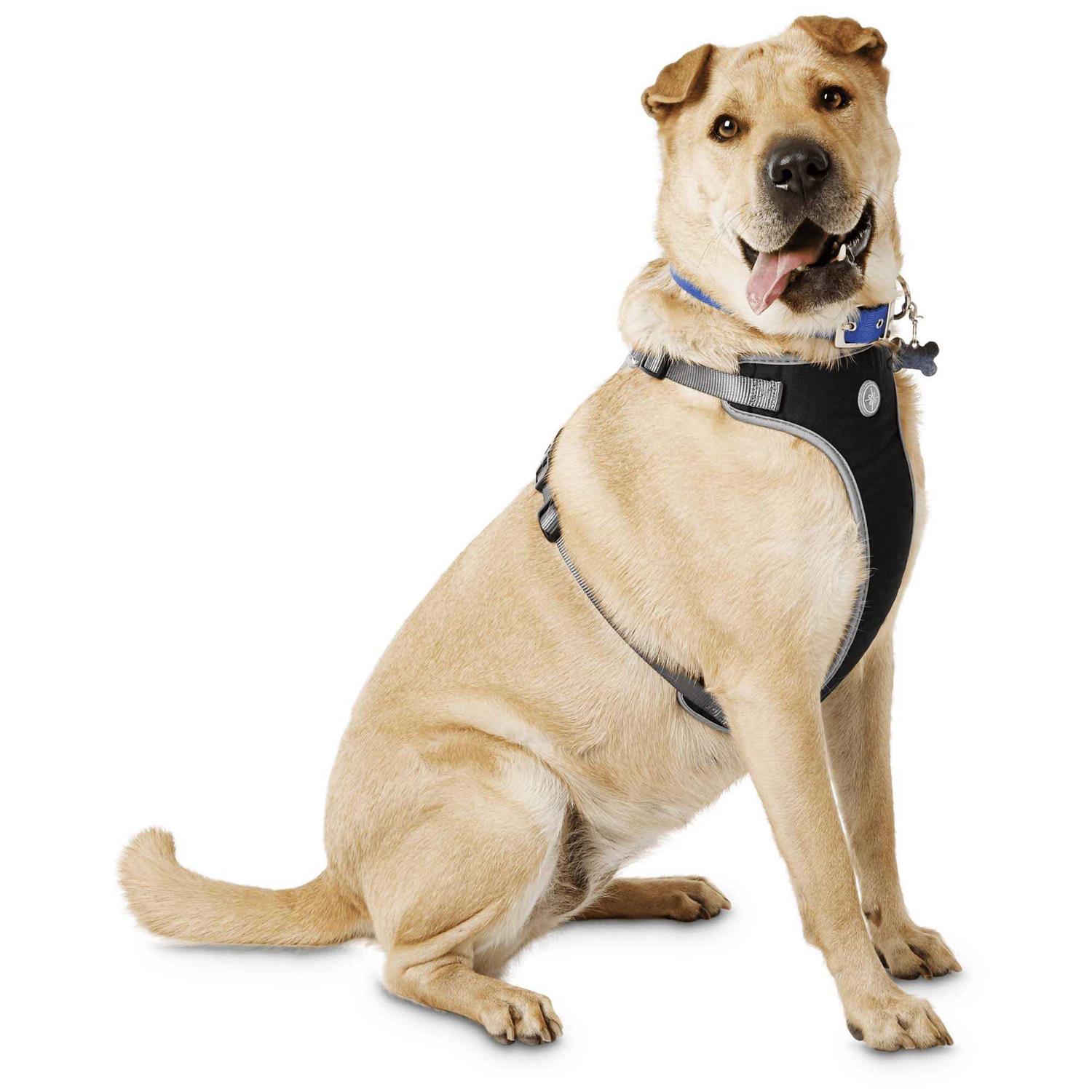 Youly The Classic Black Harness for Large Dog - Pet Supplies online store