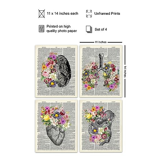 Organs & Flowers Dictionary Wall Art Decor Set - 8x10 Vintage Upcycled Unframed Prints for Home or Doctor Office - Unique Steampunk Goth Room Decor - Gift for Doctor, Nurse, PA, Med Student