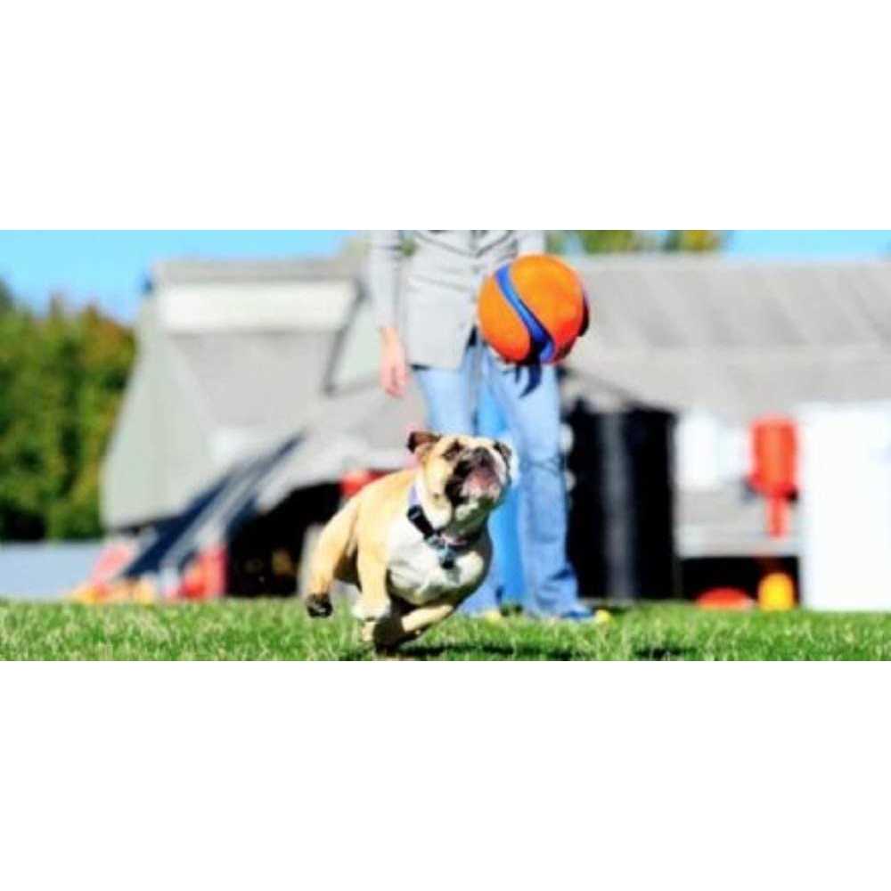 Chuckit! Kick Fetch Ball Dog Toy - Pet Supplies online store