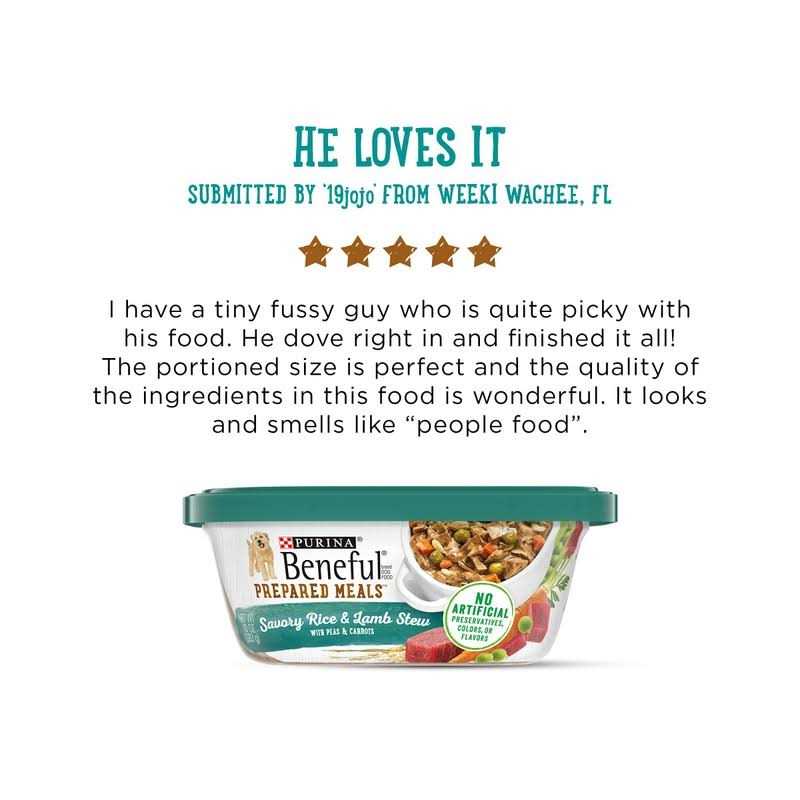 Purina Beneful Prepared Meals Savory Rice & Lamb Stew Wet Dog Food - Pet Supplies online store