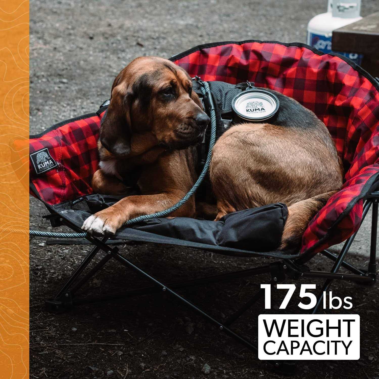 Kuma Lazy Bear Dog Bed - Pet Supplies online store