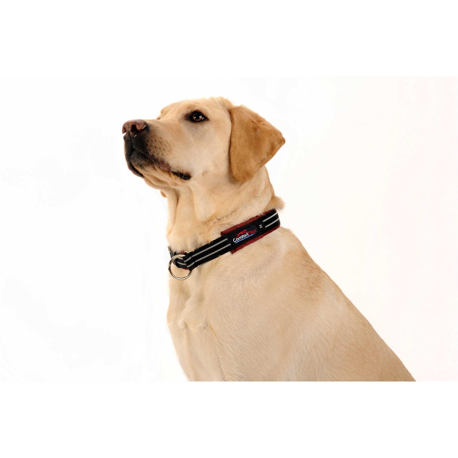 ComfortFlex Limited Slip Collar - Pet Supplies online store