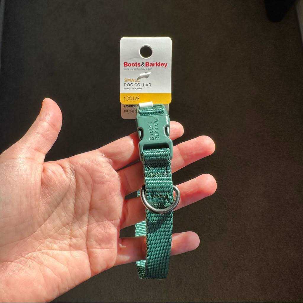 Boots & Barkley Basic Dog Collar - Pet Supplies online store