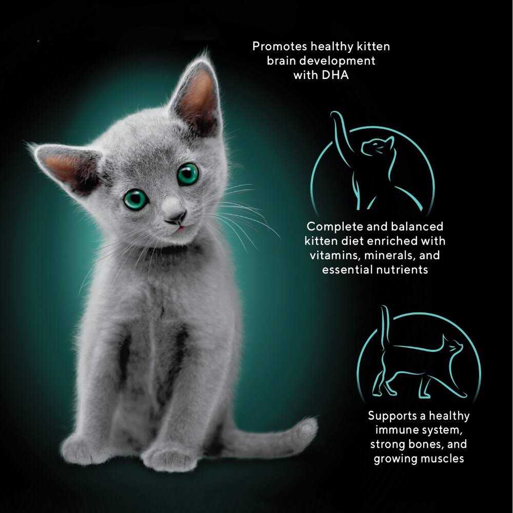 Sheba Perfect Portions Kitten Premium Soft Pate Wet Food Variety Pack - Pet Supplies online store