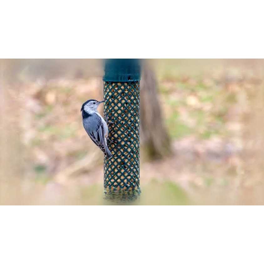 C&S Hot Pepper Delight Log 32 oz - Pet Supplies online store