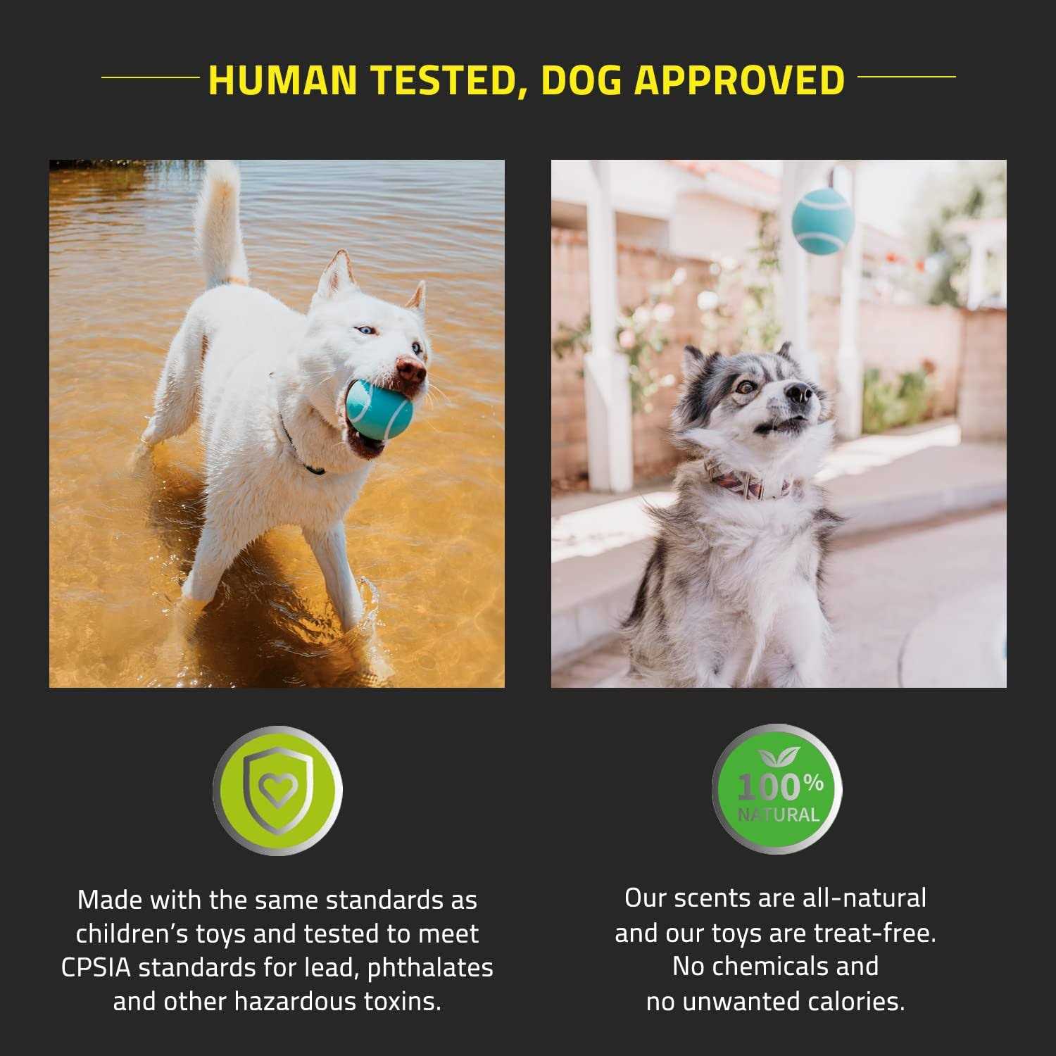 Playology Squeaky Chew Ball Dog Toy - Pet Supplies online store