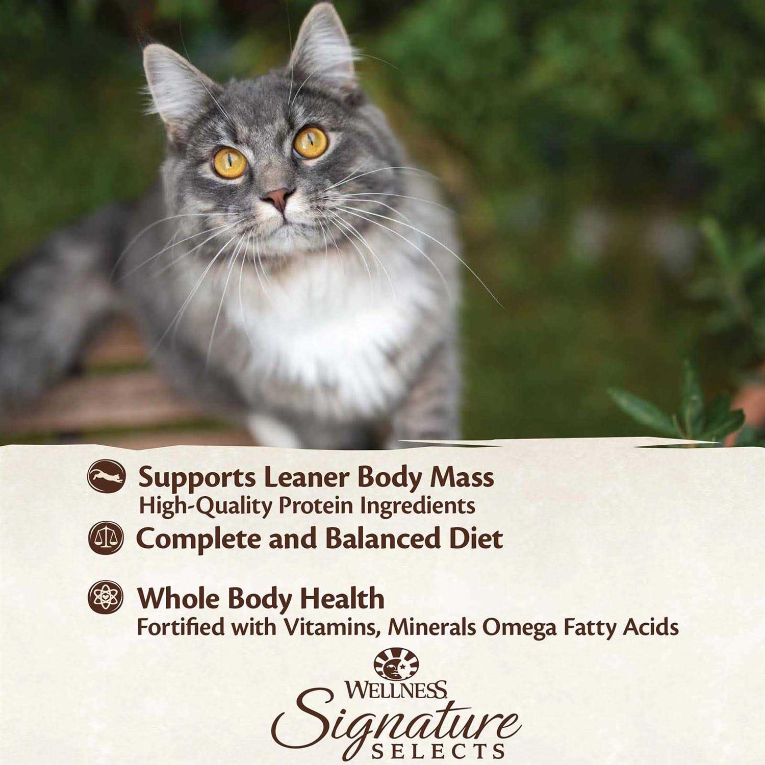 Wellness Core Signature Selects Grain Free Canned Cat Food - Pet Supplies online store