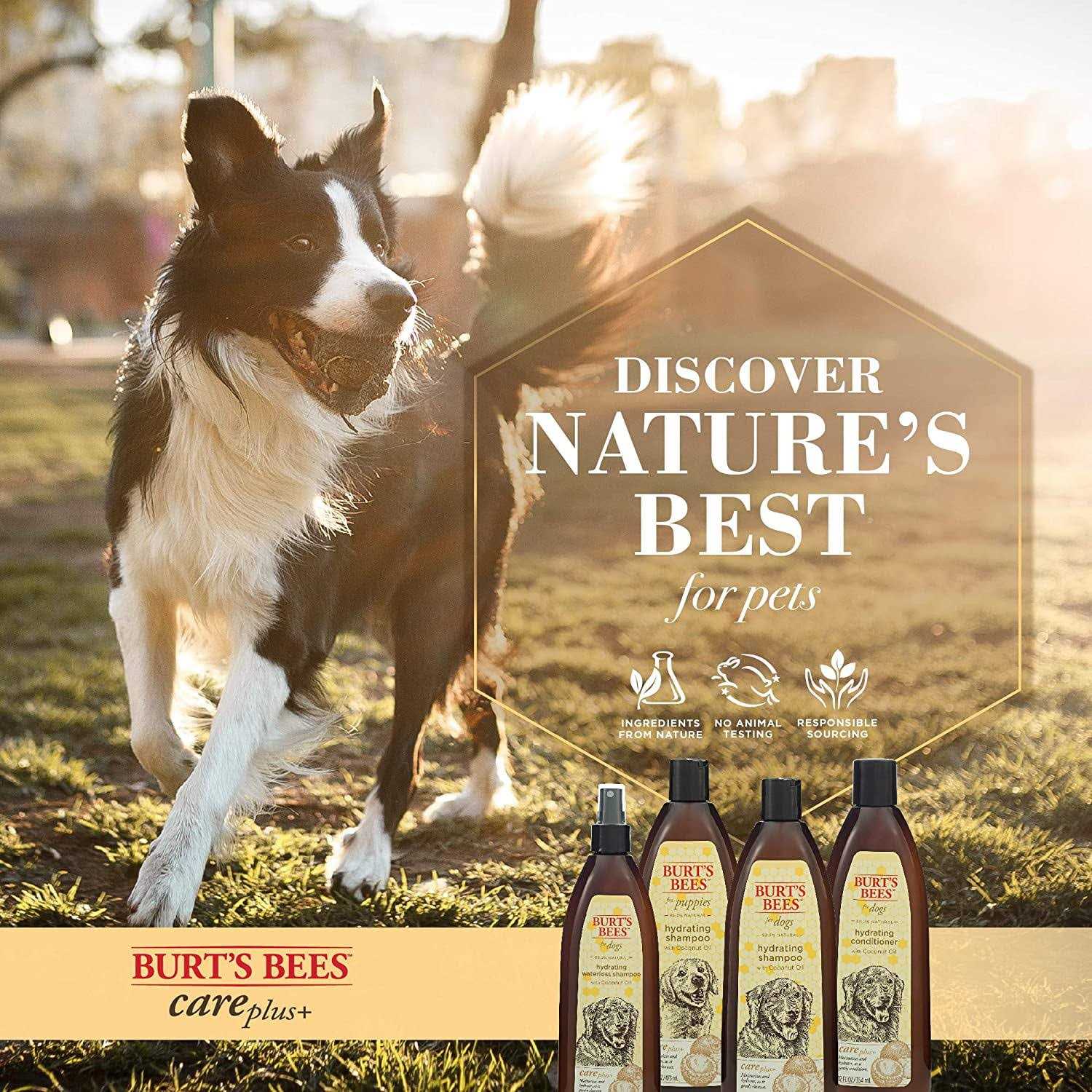 Burt's Bees Care Plus+ Hydrating Coconut Oil Shampoo - Pet Supplies online store