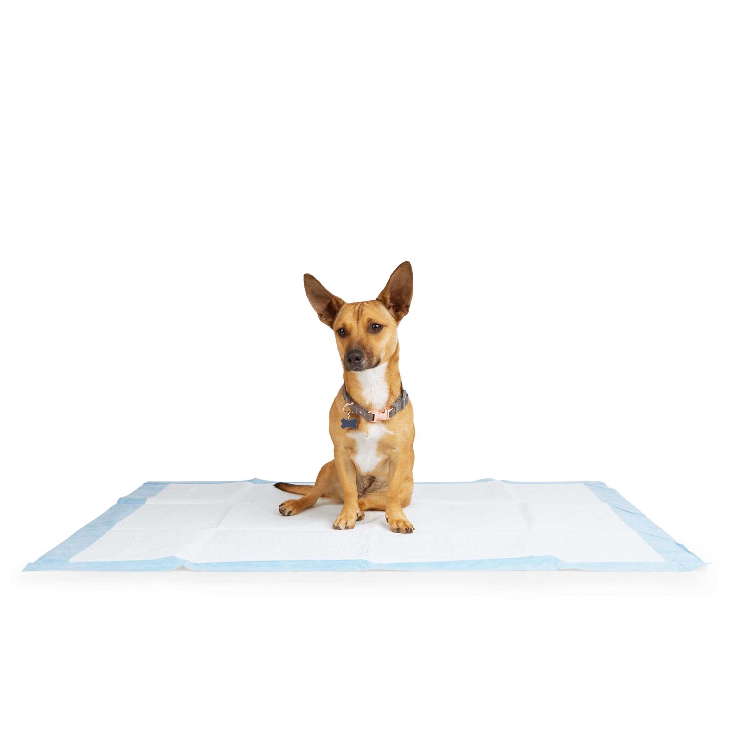 So Phresh Maximum Absorbency XX-Large Leak Shield Potty Pads - Pet Supplies online store