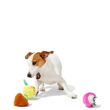 Barkbox Fruity Cutie Tropical Trio Dog Toys Squeaker Ball Toys - Pet Supplies online store