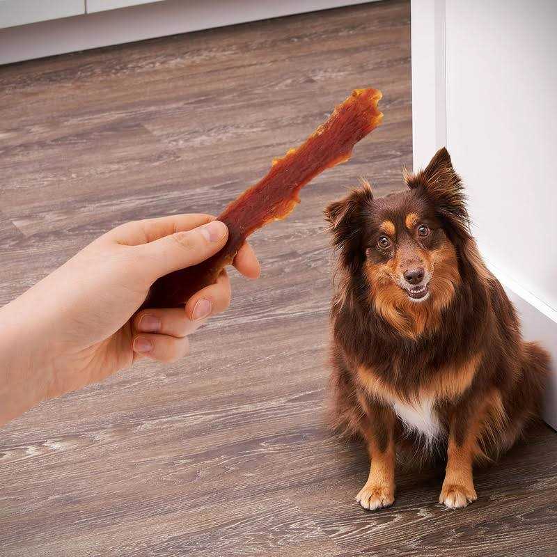 Golden Rewards Dog Treats - Pet Supplies online store