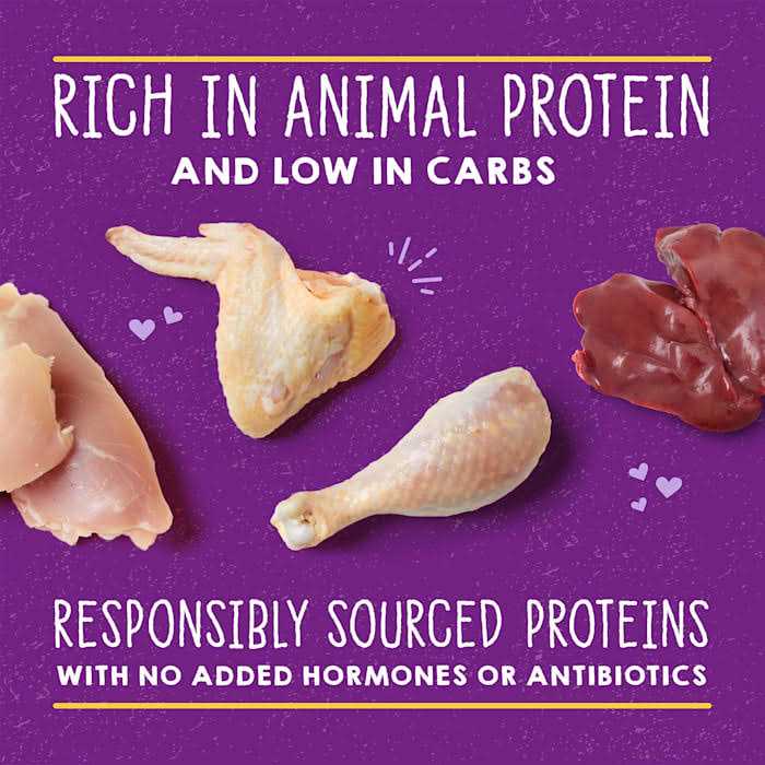 Stella & Chewy's Cat Carnivore Cravings Pate Chicken - Pet Supplies online store