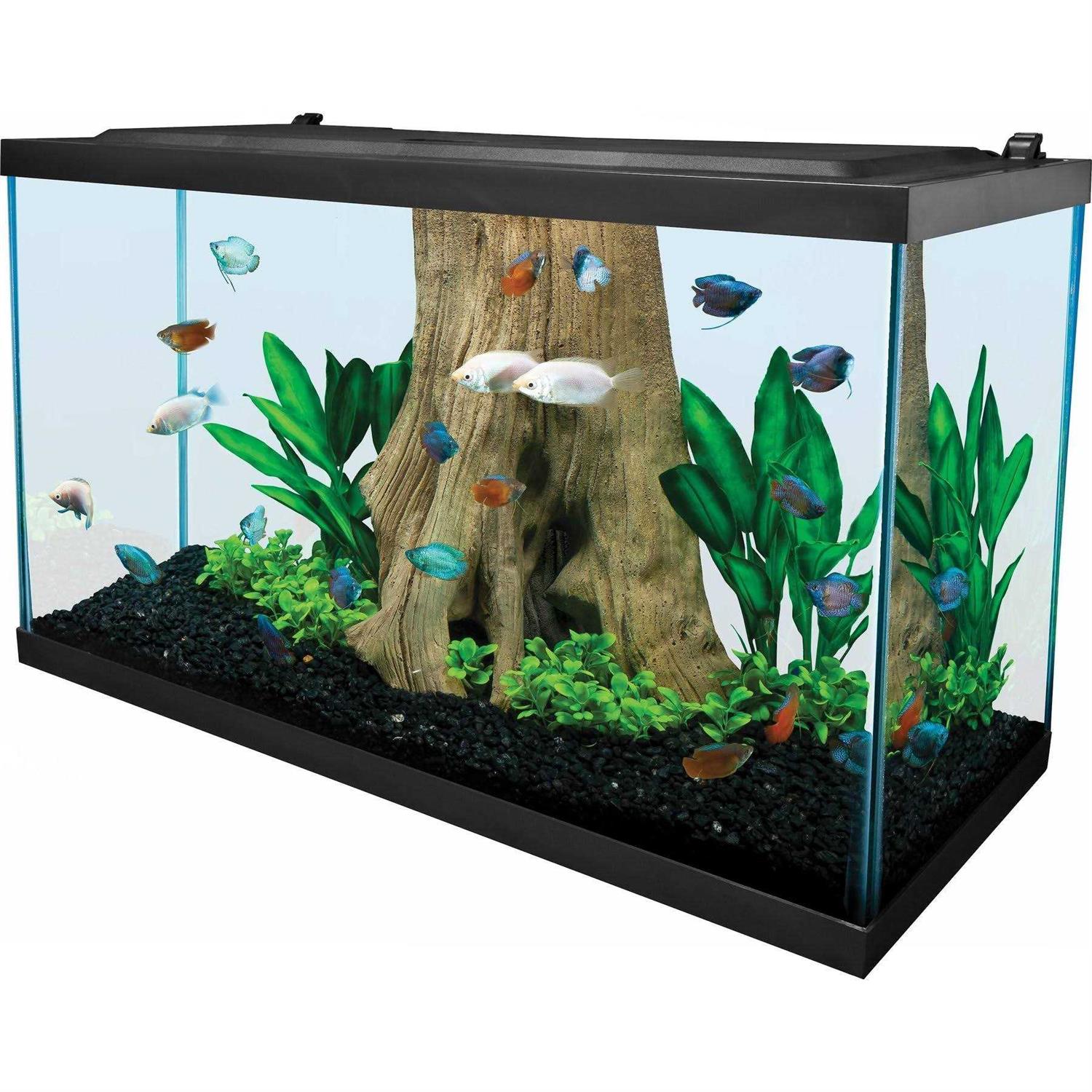 Tetra Glass Aquarium 29 Gallons - Pet Supplies online store