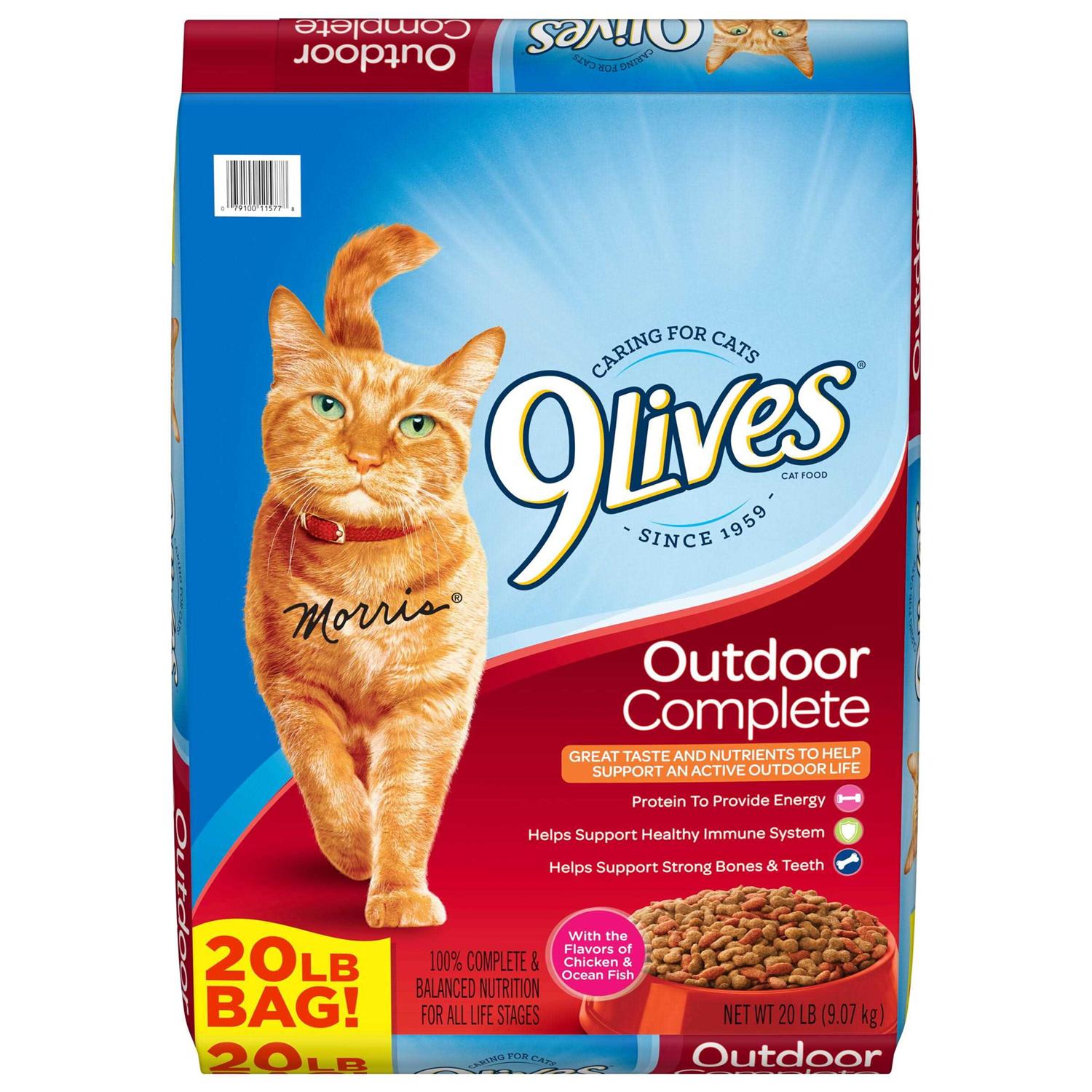 9Lives Outdoor Complete Dry Cat Food - Pet Supplies online store