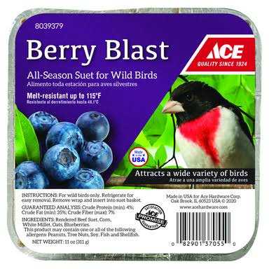Ace Berry Blast Assorted Species beef Suet 11 oz - Pet Supplies online store