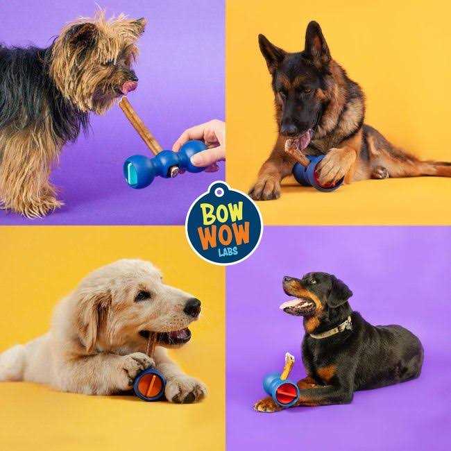 Bow Wow Labs Safe Fit Bully Sticks - Pet Supplies online store