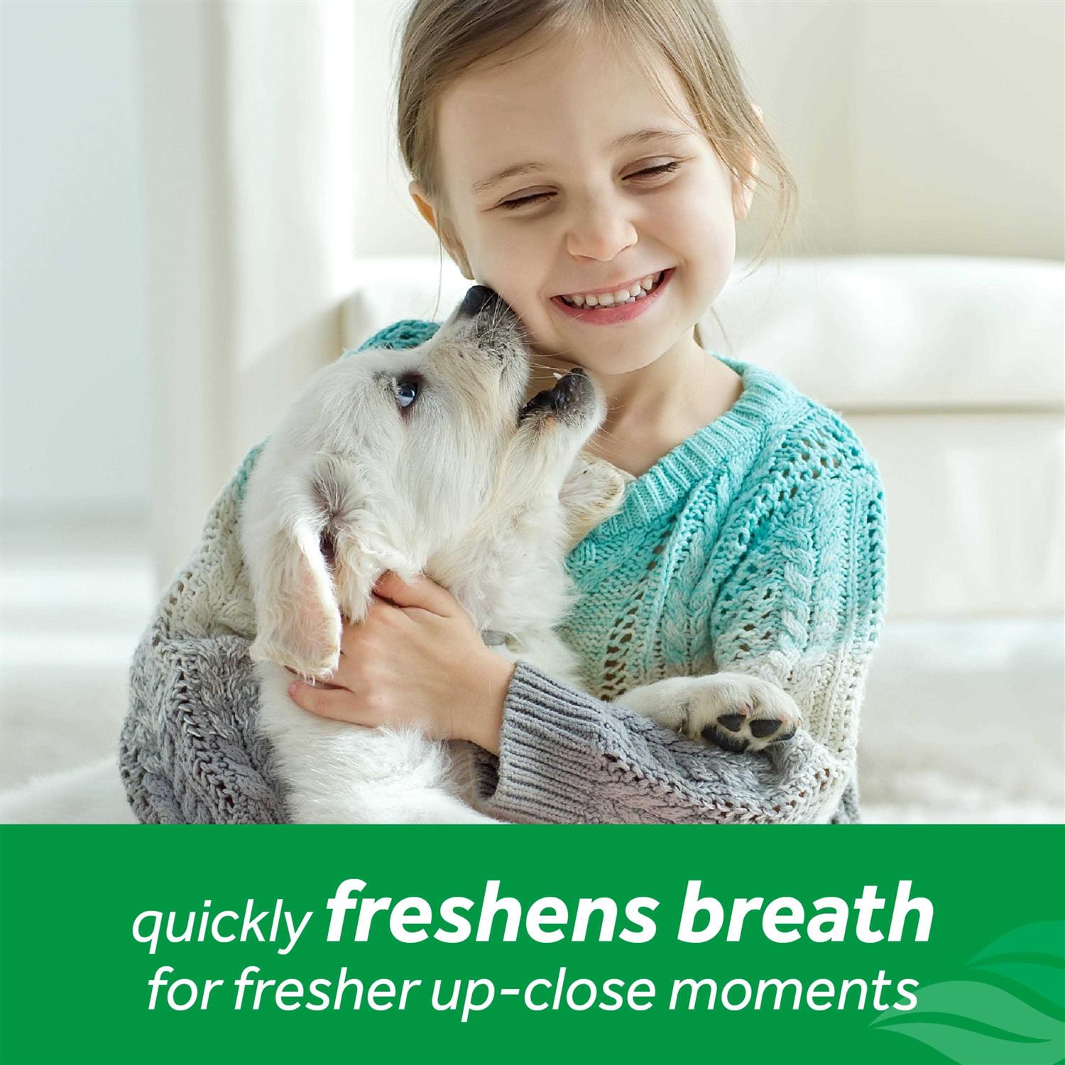 Tropiclean Fresh Breath Oral Care Spray - Pet Supplies online store