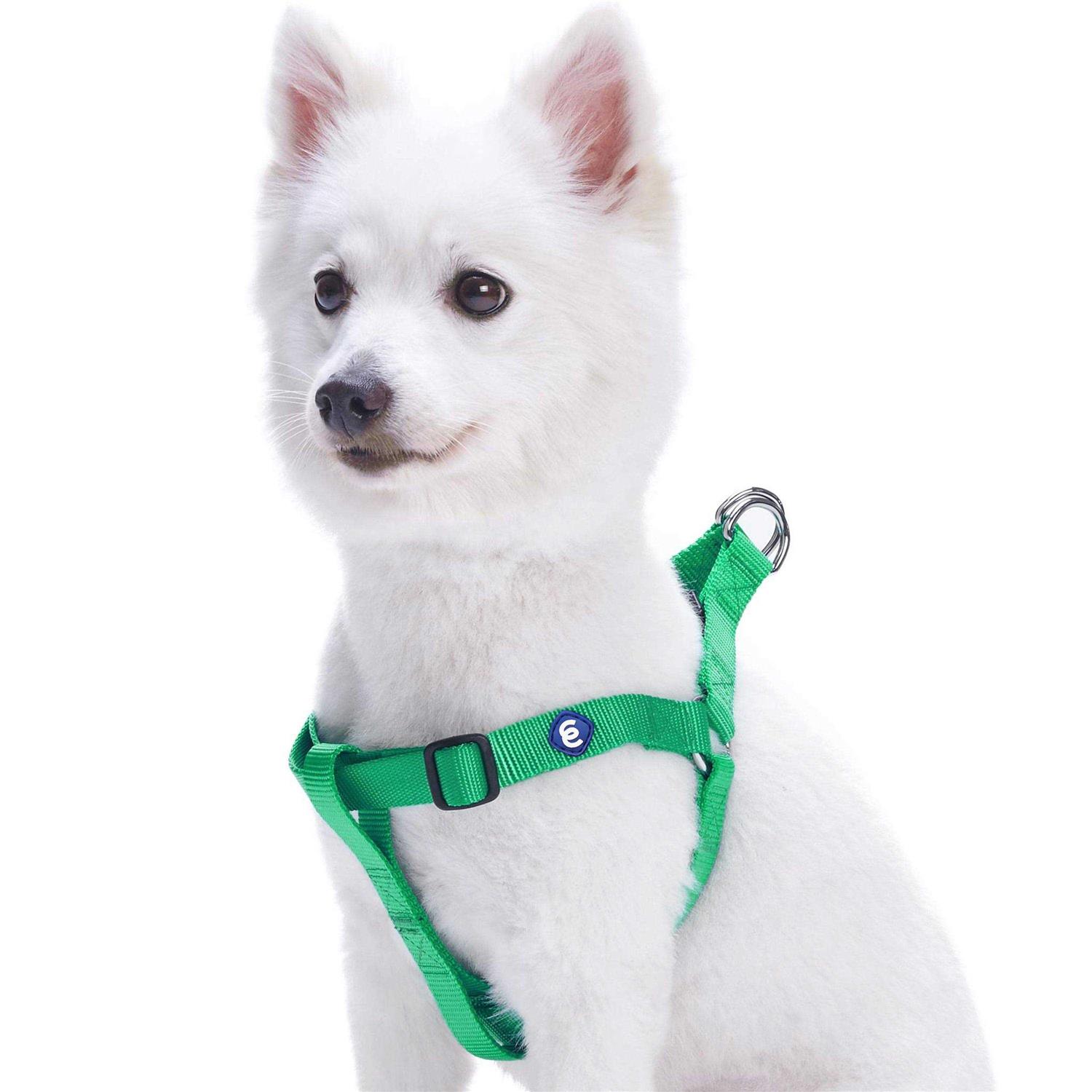 Blueberry Pet Essentials Classic Durable Solid Nylon Step-In Dog Harness - Pet Supplies online store