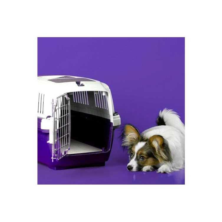 Simple Solution 6-Layer All Day Premium Dog Pads - Pet Supplies online store