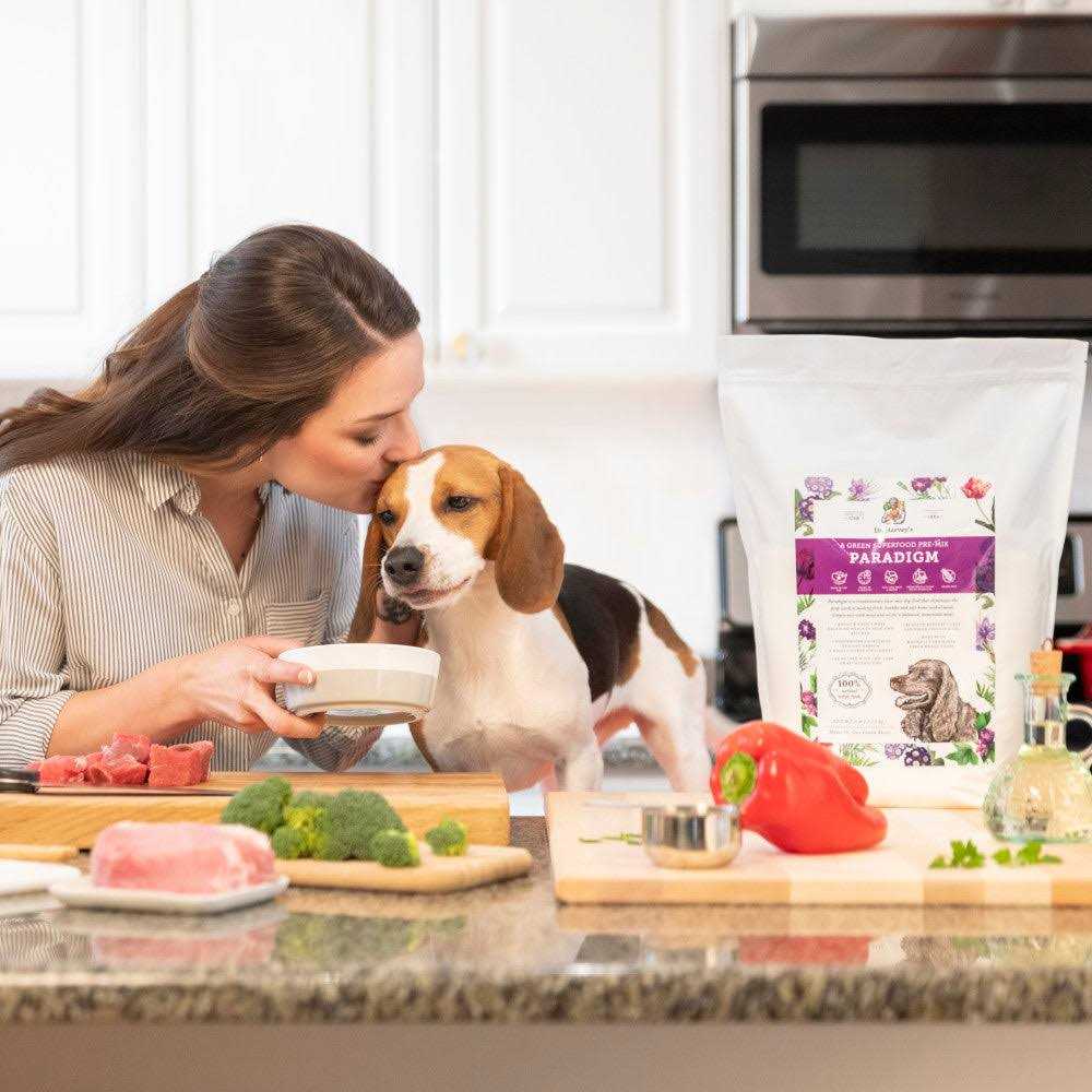 Dr. Harvey's Paradigm Superfood Pre-Mix Dog Food - Pet Supplies online store