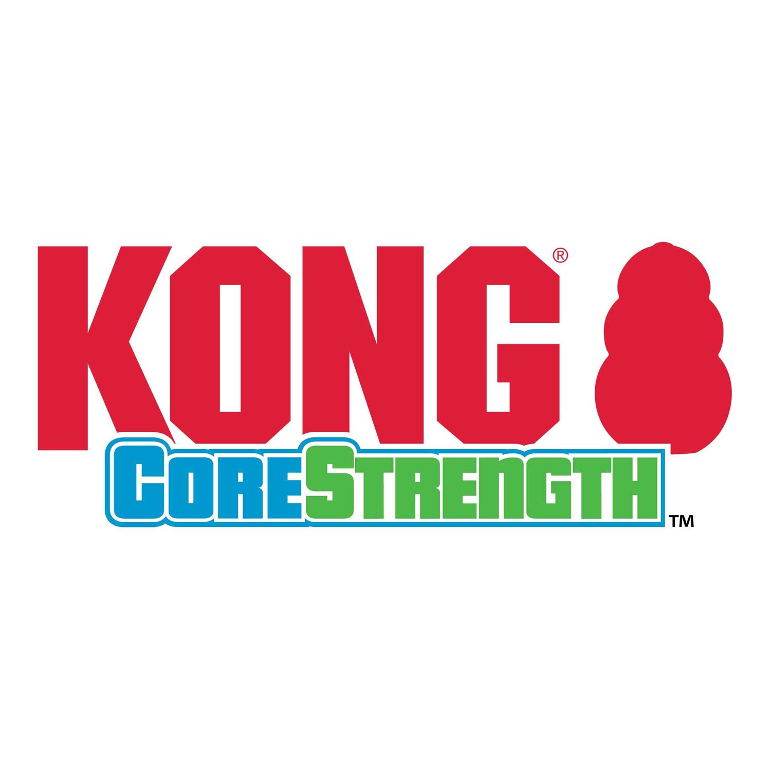 Kong CoreStrength Bone Dog Toy - Pet Supplies online store
