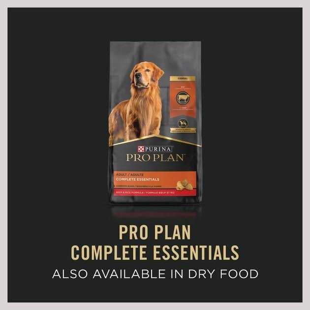 Purina Pro Plan Savory Beef & Rice Wet Dog Food - Pet Supplies online store