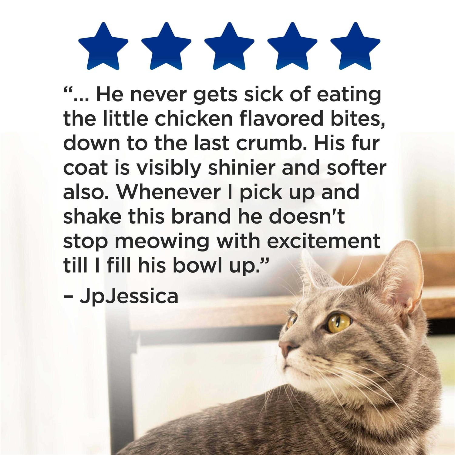 Purina Cat Chow Complete Dry Cat Food - Pet Supplies online store