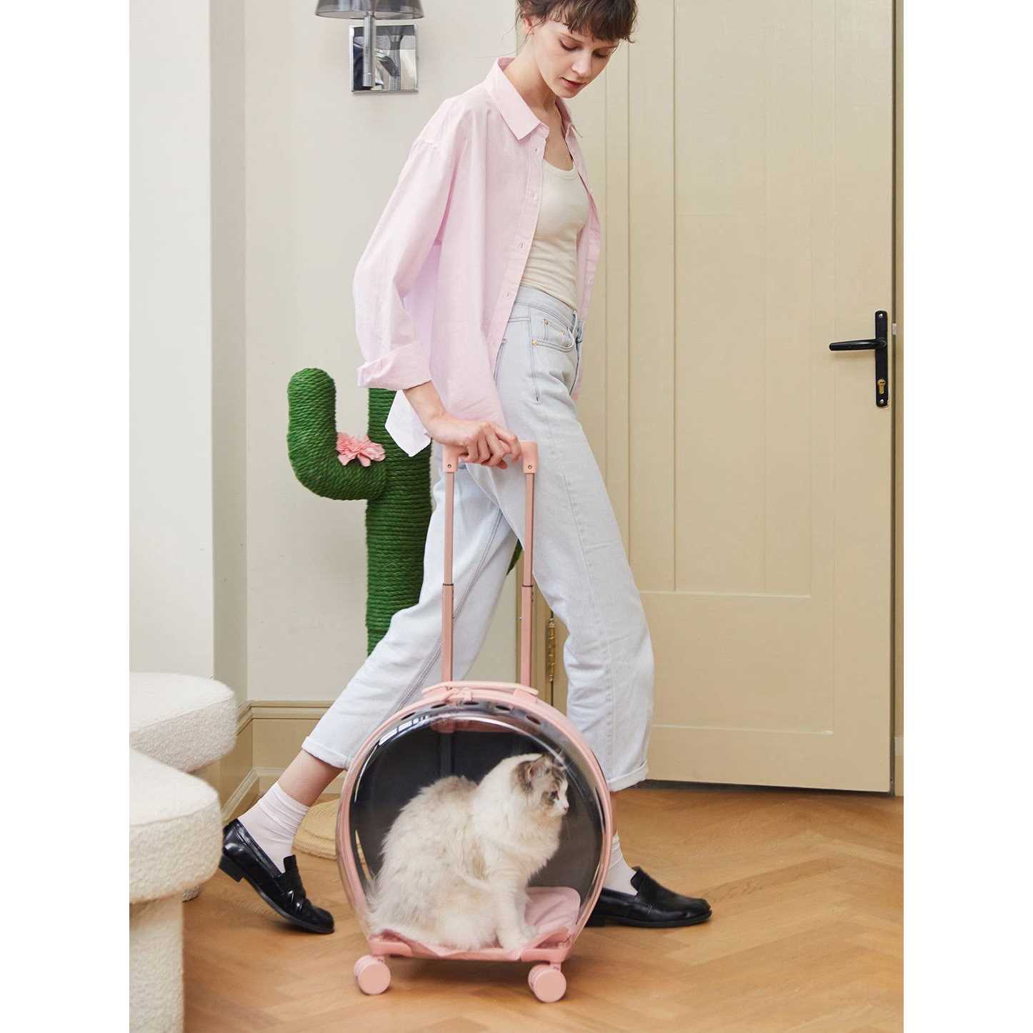 Vetreska Bubble Pet Carrier Pink Color Block - Pet Supplies online store