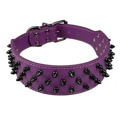 Dogs Kingdom Leather Black Spiked Studded Dog Collar 2 Wide - Pet Supplies online store
